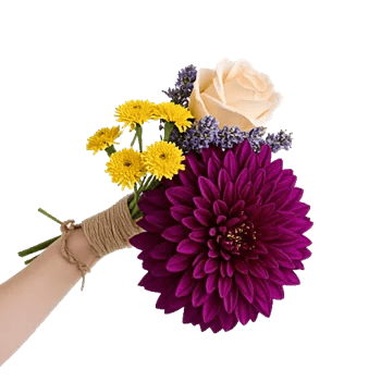 Crimson Blossom Harmony