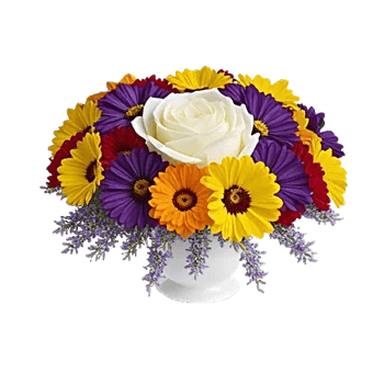 Delicate Petal Cascade