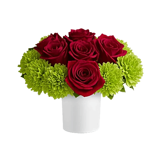 Crimson Rose Elegance