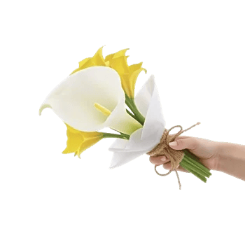 Elegant Calla Lilies