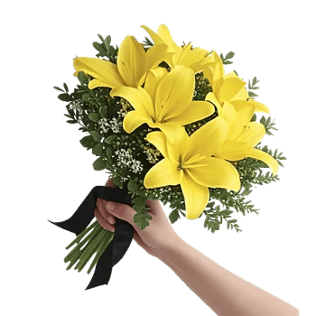 Blossom Harmony Display