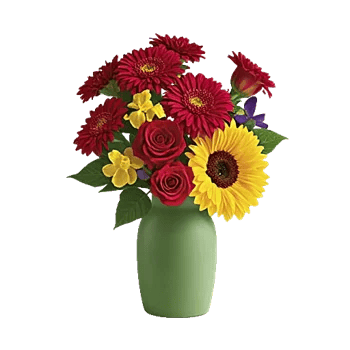 Crimson Blossom Harmony