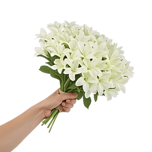 Minimalist White Orchids