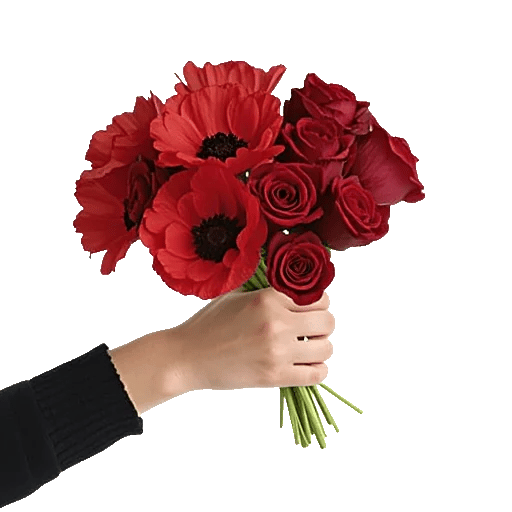 Crimson Rose Elegance