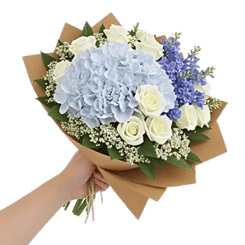 Serene Petal Harmony