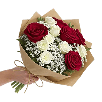 Crimson Rose Elegance