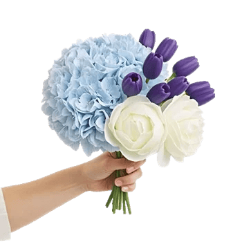 Serene Petal Harmony