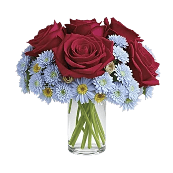 Crimson Rose Elegance