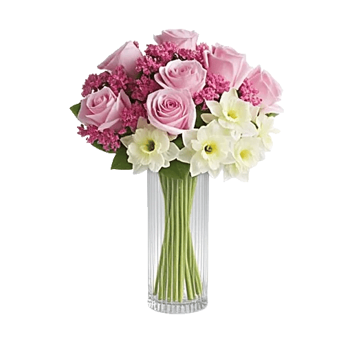Radiant Rose Symphony