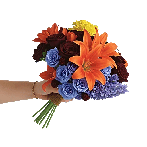 Blossom Harmony Display