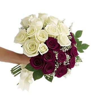 Blushing Rose Symphony