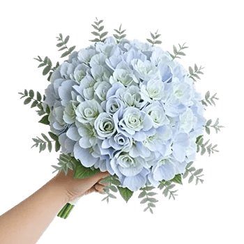 Sapphire Bloom Whisper