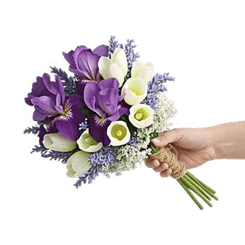 Ivory Blossom Radiance