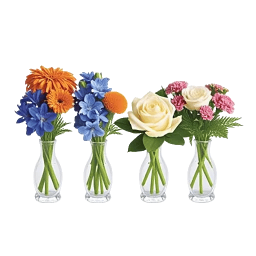 Petal Radiance Bliss