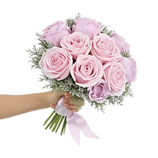 Pastel Pink Roses