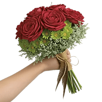 Delicate Petal Cascade