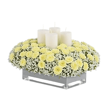 Delicate Petal Cascade