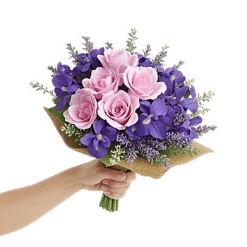 Blushing Rose Symphony