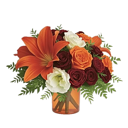 Petal Radiance Bliss