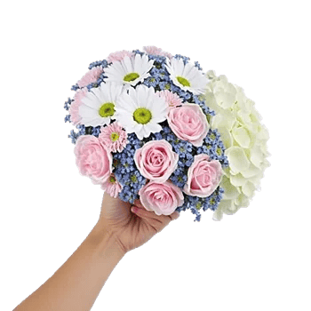 Petal Harmony Bliss
