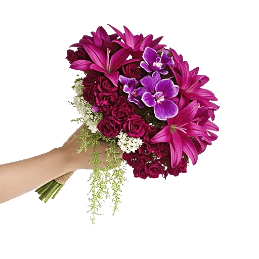 Plum Blossom Radiance