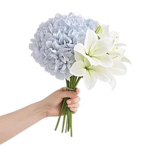 Serene Petal Harmony