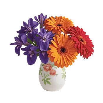 Ivory Blossom Radiance