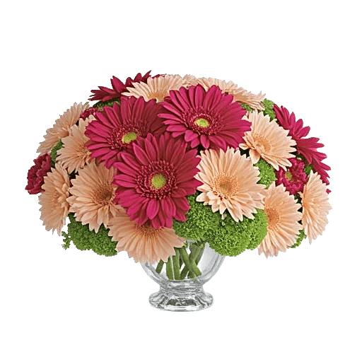 Radiant Bloom Cascade