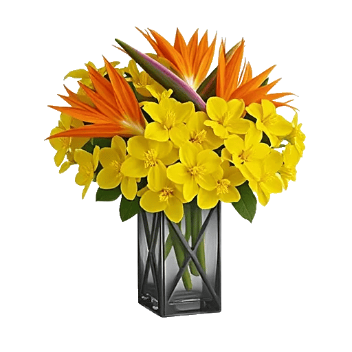 Orchid Bloom Cascade