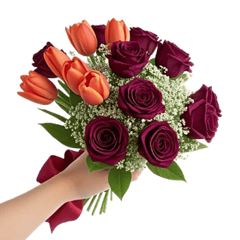 Velvet Tulip Display