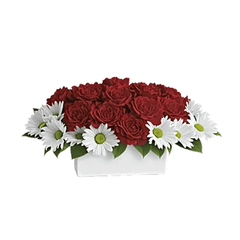 Crimson Blossom Harmony