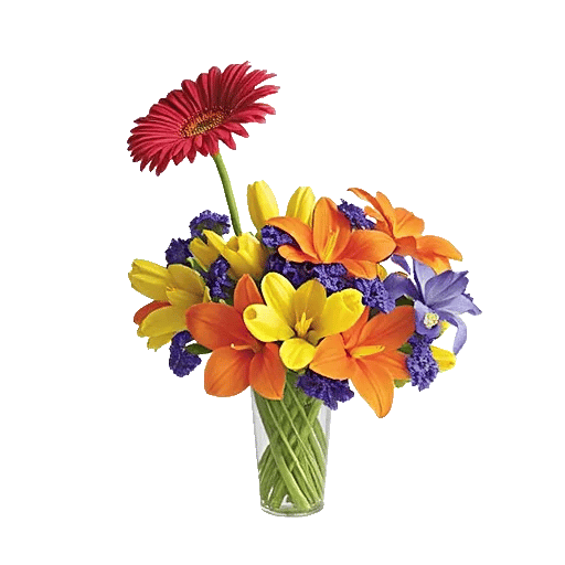 Petal Radiance Bliss