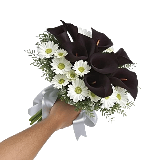 Elegant Calla Lilies