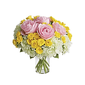 Petal Radiance Bliss
