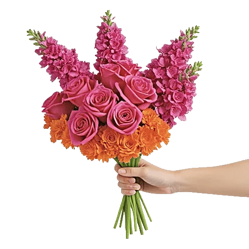 Pastel Pink Roses