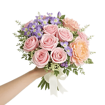 Pastel Pink Roses