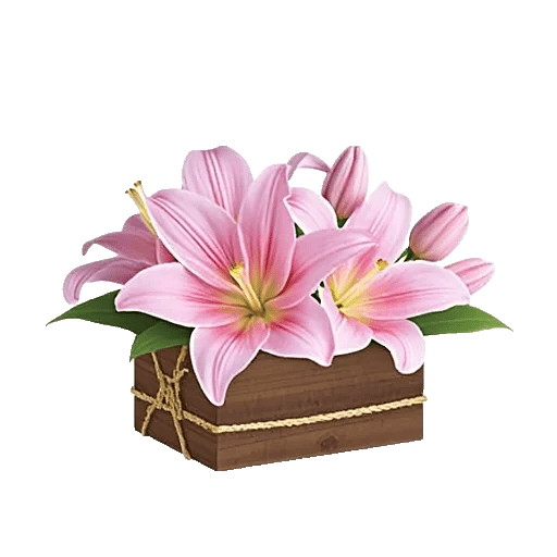 Graceful Lily Display