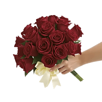 Crimson Rose Elegance