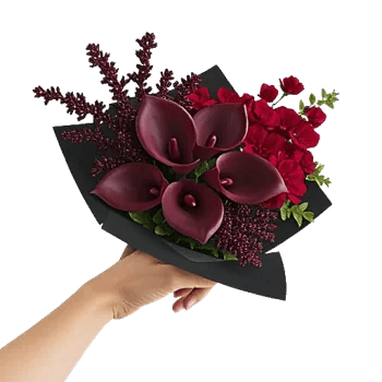 Elegant Calla Lilies