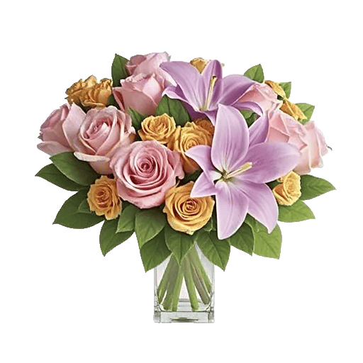 Radiant Rose Symphony