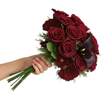 Deep Red Foliage