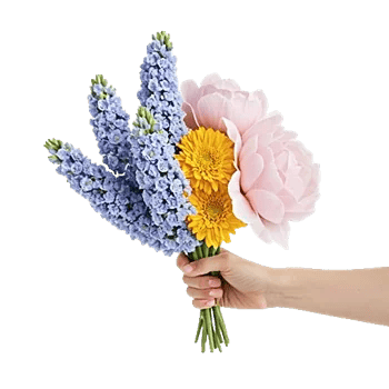 Pastel Blossom Grace