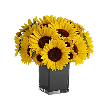 Radiant Bloom Cascade