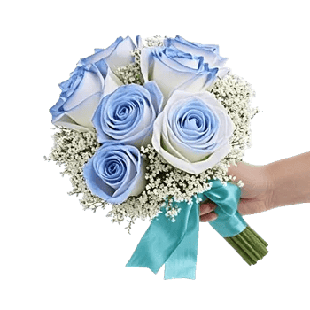 Elegant Blue Roses