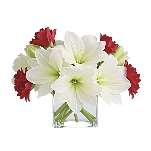 Crimson Blossom Harmony