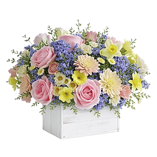 Blooming Serenity Display