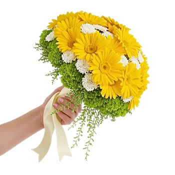 Delicate Petal Cascade