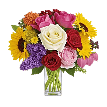 Petal Radiance Bliss