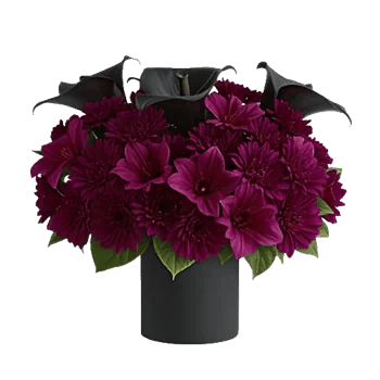 Elegant Calla Lilies