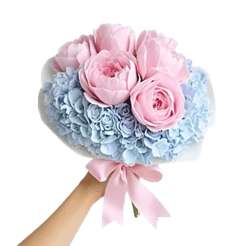 Peony Petal Harmony